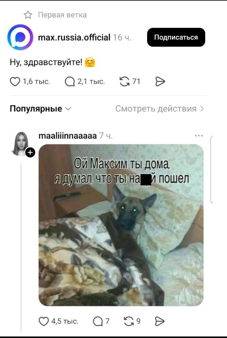 Ой, Максим...