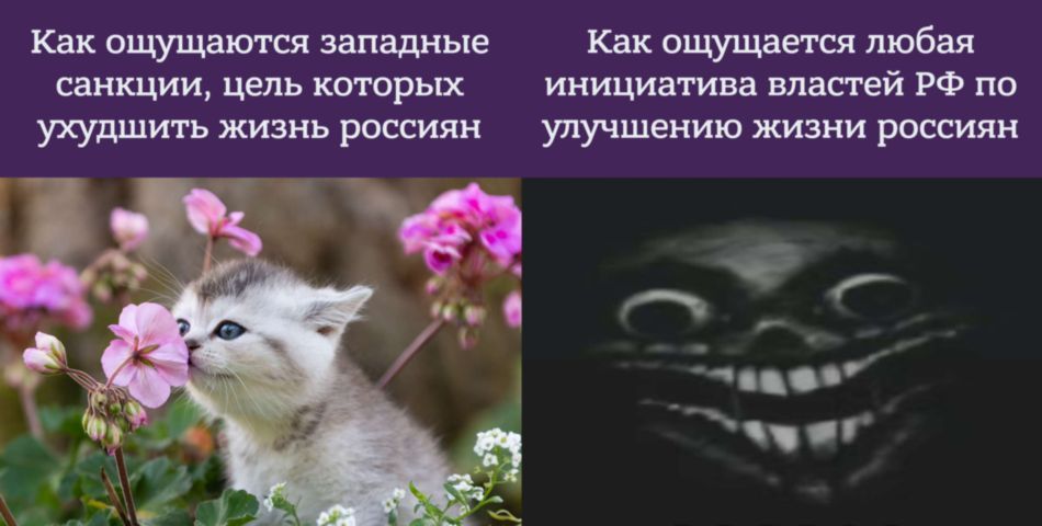 Улучшение жизни