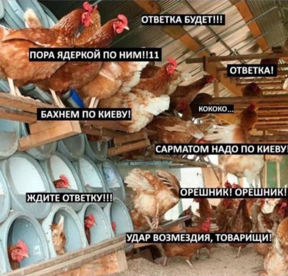 Без слов