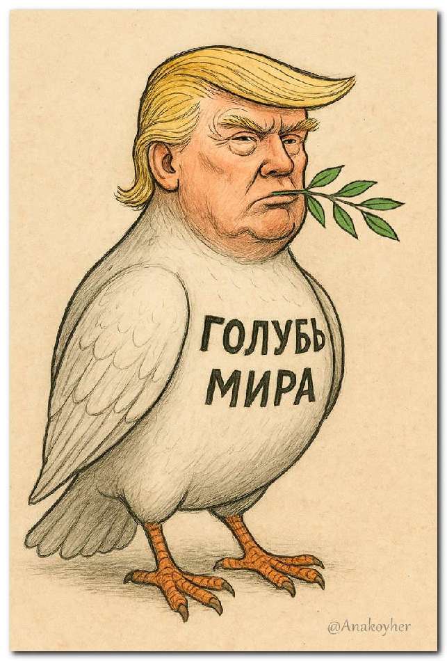 Голубь мира