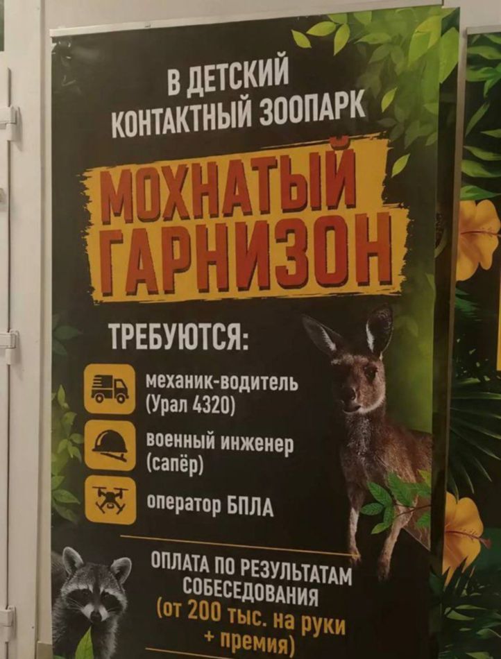 В мохнатый гарнизон - с детства