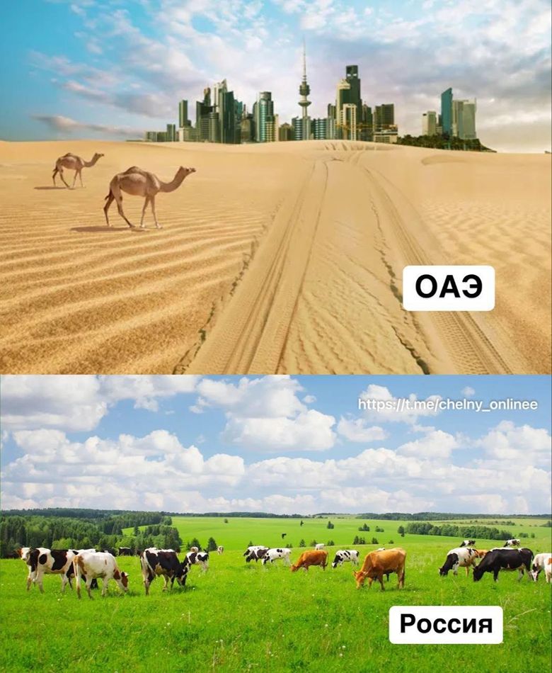 ОАЭ нас без масла не оставит!